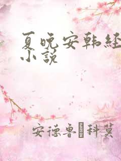 夏晚安韩经年的小说