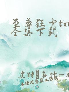 至尊狂少txt全集下载