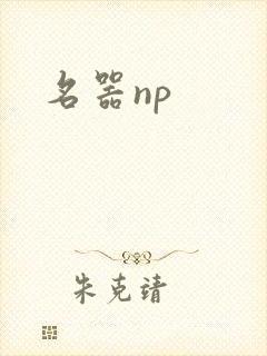 名器np