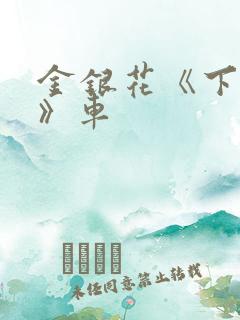 金银花《下厨房》车