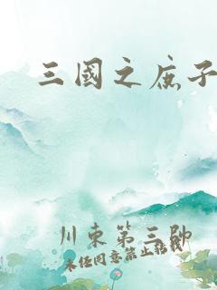 三国之庶子称雄