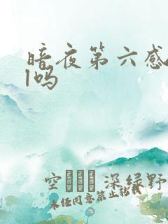 暗夜第六感是bl吗