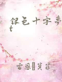 银色十字梦txt