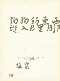 狗狗的东西直接进入B里删除