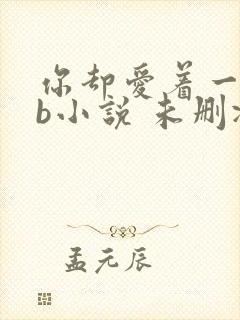 你却爱着一个sb小说 未删减完整版百度云