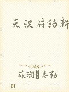 天波府的新姑爷