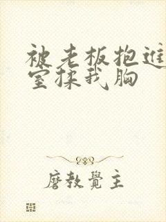 被老板抱进办公室揉我胸