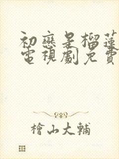 初恋是榴莲先生电视剧免费观看