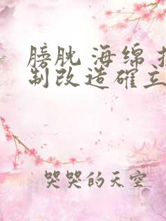 膀胱 海绵 控制改造确立m