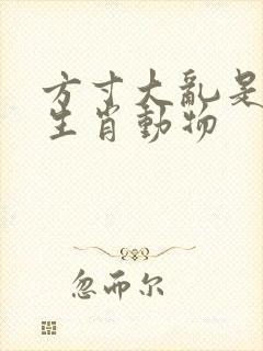 方寸大乱是什么生肖动物