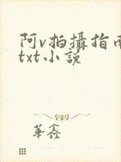 阿v拍摄指南说txt小说