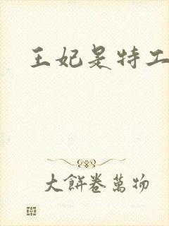 王妃是特工