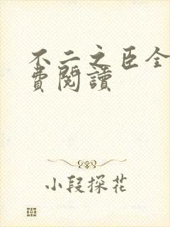 不二之臣全文免费阅读