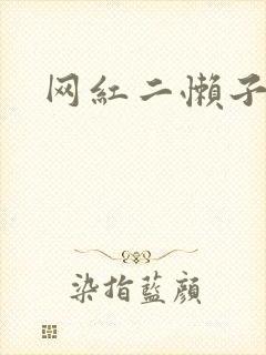 网红二懒子车祸