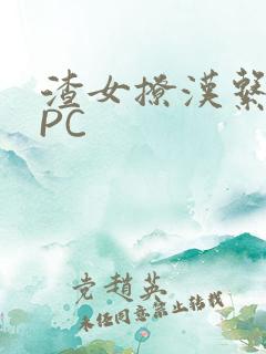 渣女撩汉系统NPC