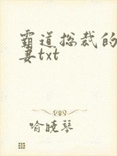 霸道总裁的挂名妻txt