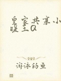 皇家共享小公主暖玉Q