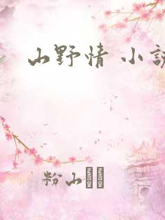 山野情 小说