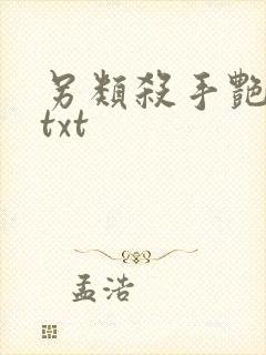 另类杀手艳福星txt