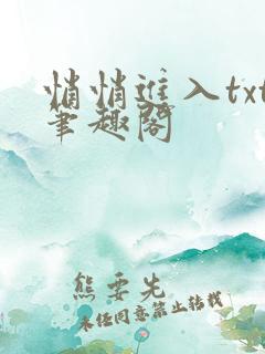 悄悄进入txt笔趣阁