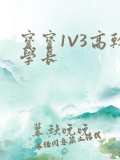 宝宝1V3高干学长