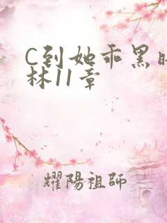 C到她乖黑暗森林11章
