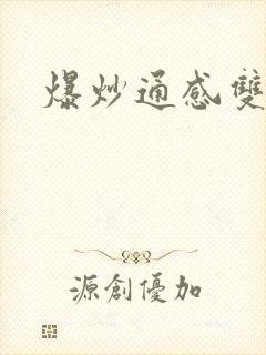 爆炒通感双胞胎