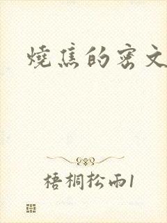烧焦的密文
