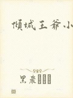 倾城王爷小小妃