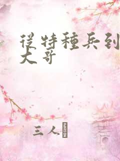 从特种兵到黑道大哥