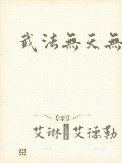 武法无天无弹窗