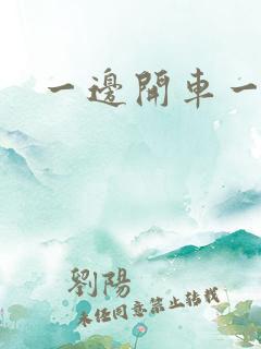 一边开车一边做