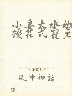 小妻太水嫩陆教授花式宠免费阅读 小说