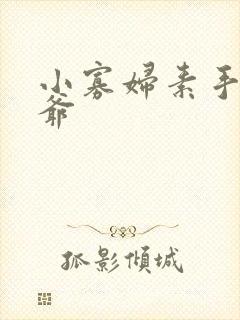 小寡妇素手擒四爷