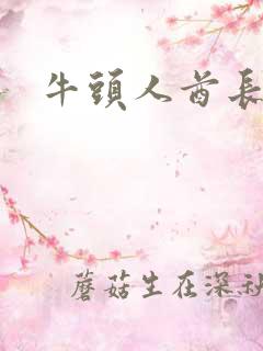 牛头人酋长战斧