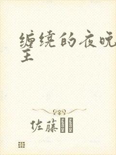 缠绕的夜晚双男主