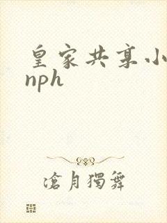 皇家共享小公主nph