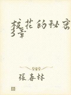 校花的秘密第23章