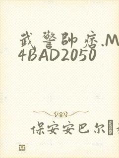 武警帅痞.MP4BAD2050