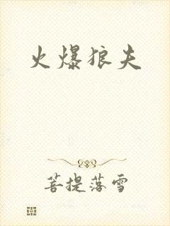 火爆狼夫