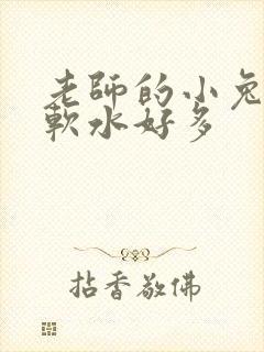 老师的小兔子好软水好多