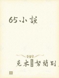 65小说