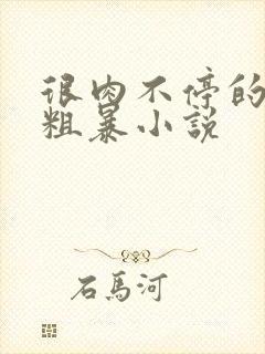 很肉不停的做很粗暴小说