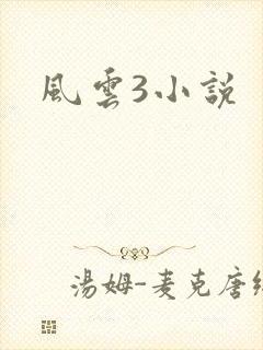 风云3小说
