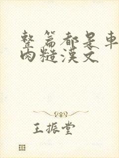 整篇都是车的多肉糙汉文