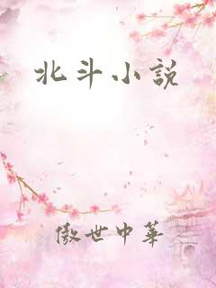 北斗小说