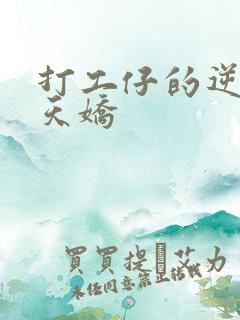 打工仔的逆袭楚天娇