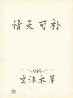情天可补
