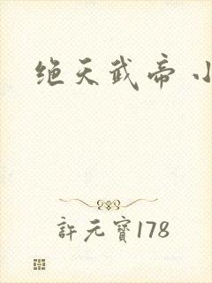 绝天武帝 小说