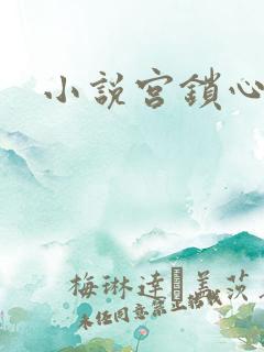 小说宫锁心玉